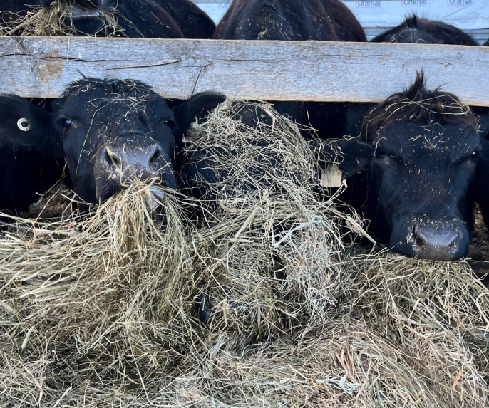 Ferme Fortin & Farrell