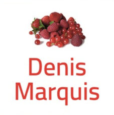 Denis Marquis